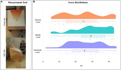 The influence of sensorimotor experience on beauty evaluation of preschool children